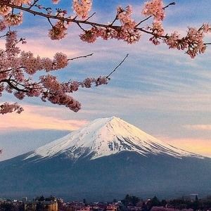 Meet your Posher, Safiyah